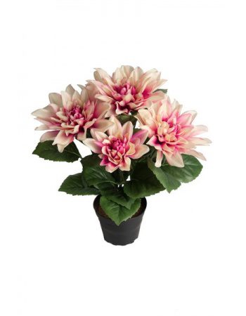 Dahlia 30cm Lilla