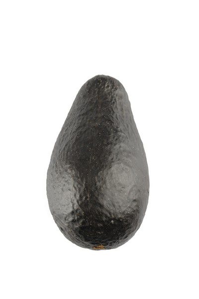 Avocado - 12cm