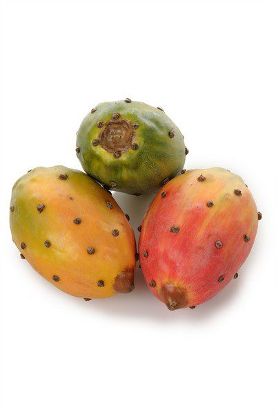 Kaktusfrukt 5,5cm Mix 1 stk.